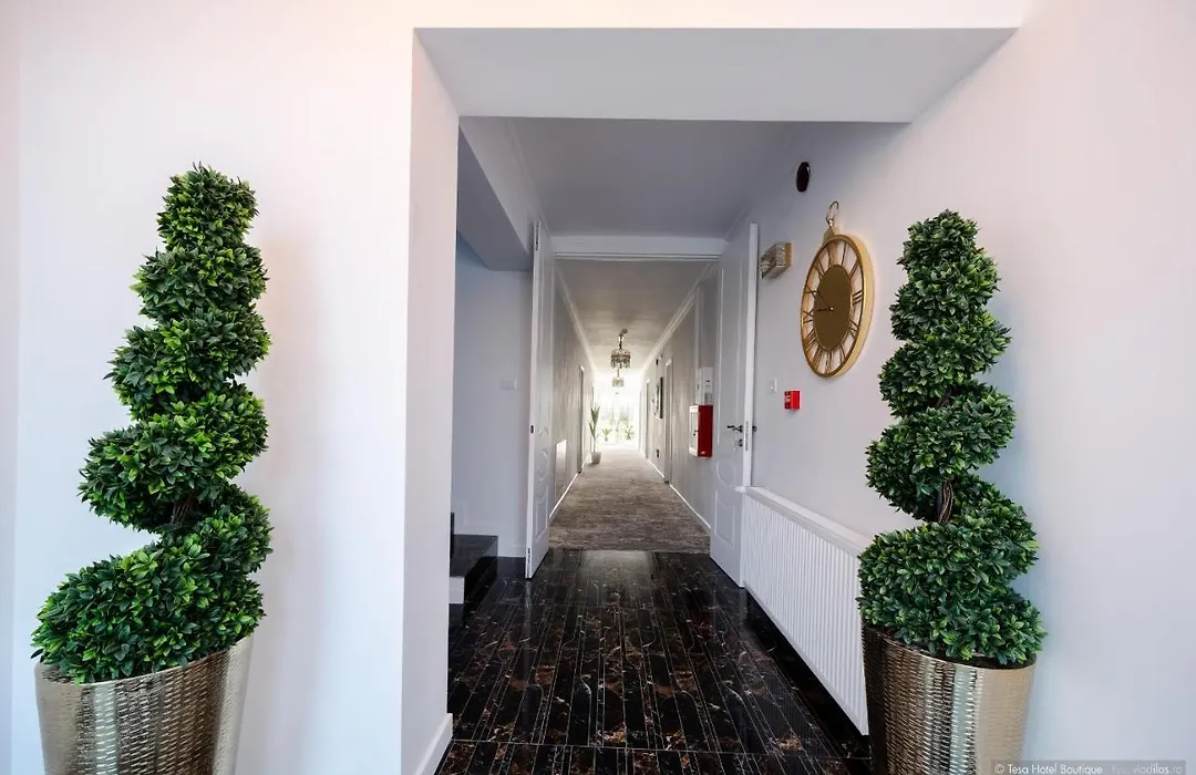 Tesa Boutique Hotel-1